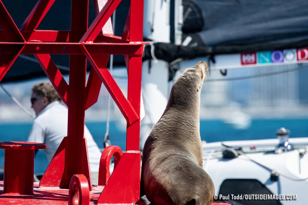 2019 Helly Hansen NOOD Regatta San Diego