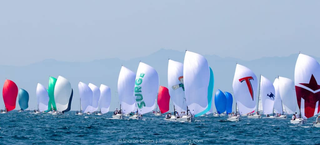 sailboats racing in Marina del Rey