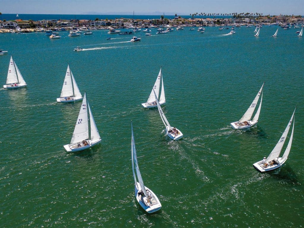 A fleet of racing sailboats in a bay.