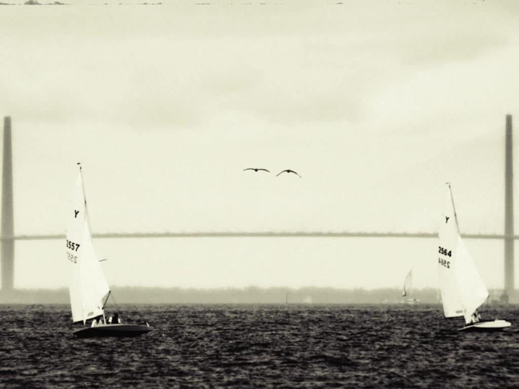 Ravenel Bridge