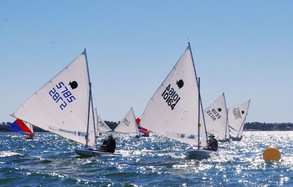 Sunfish sailboats racing on Sarasota Bay
