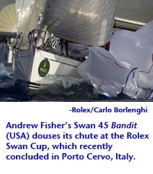 Swan Cup