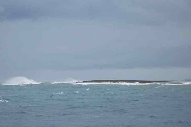 CWNewIslandPG1