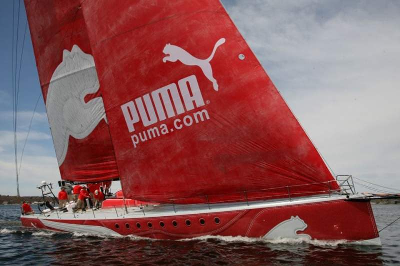 PGPuma1
