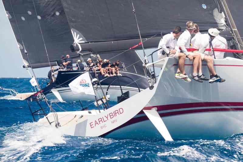 swan cup