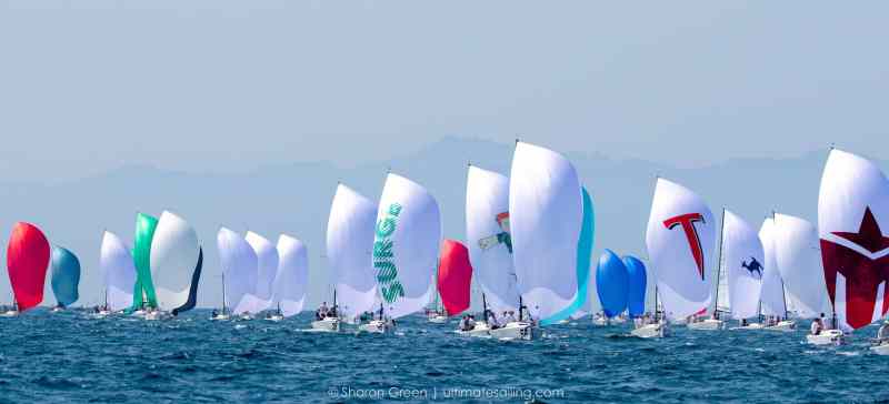 sailboats racing in Marina del Rey