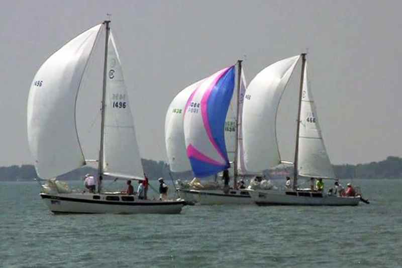 Cal960 Sailing World