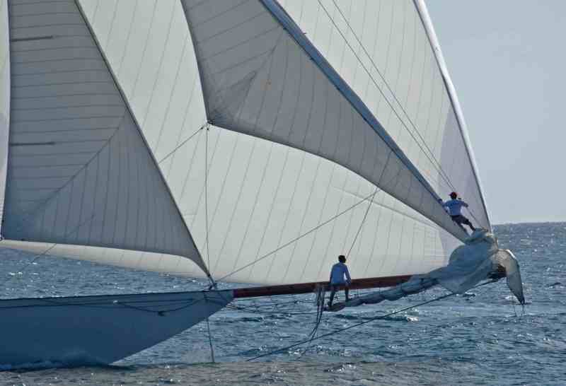 Elena Sailing World