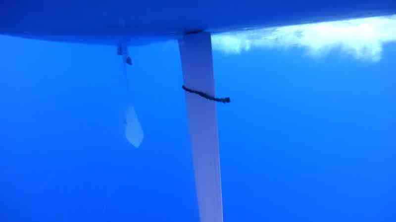 keel cleaning