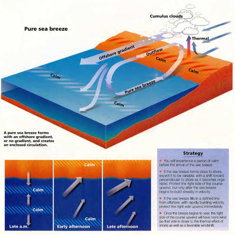 sea breeze tips