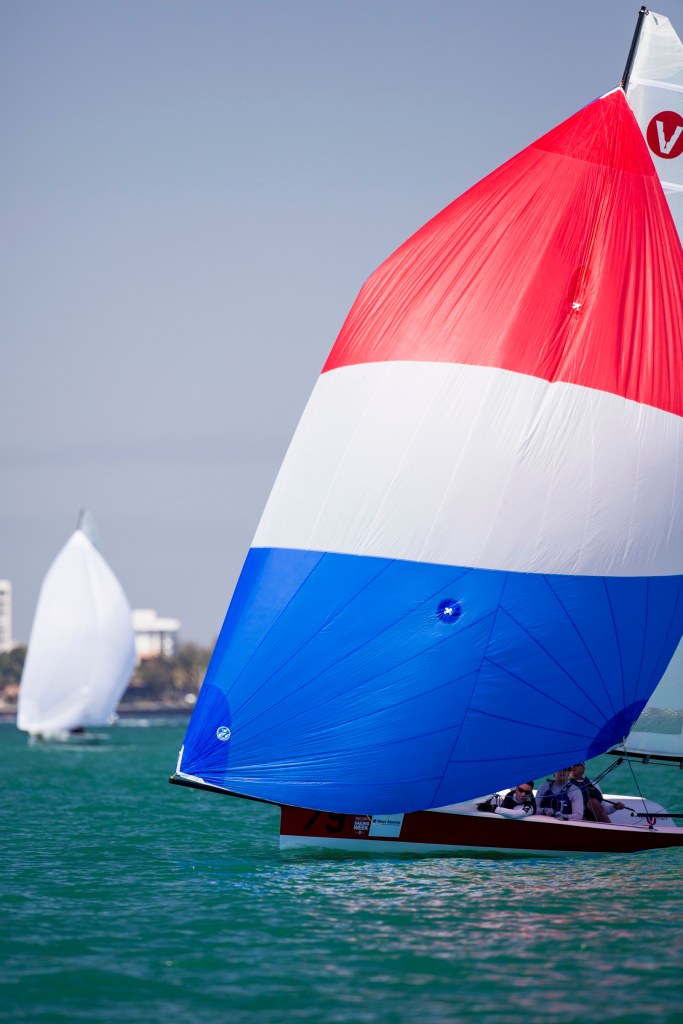 Viper Sailing