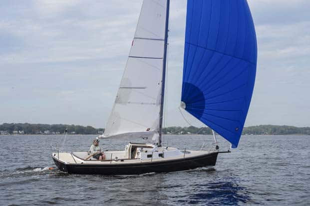 Tartan Fantail Tartan Fantail