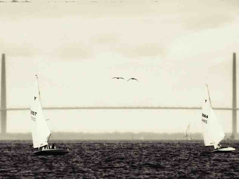 Ravenel Bridge