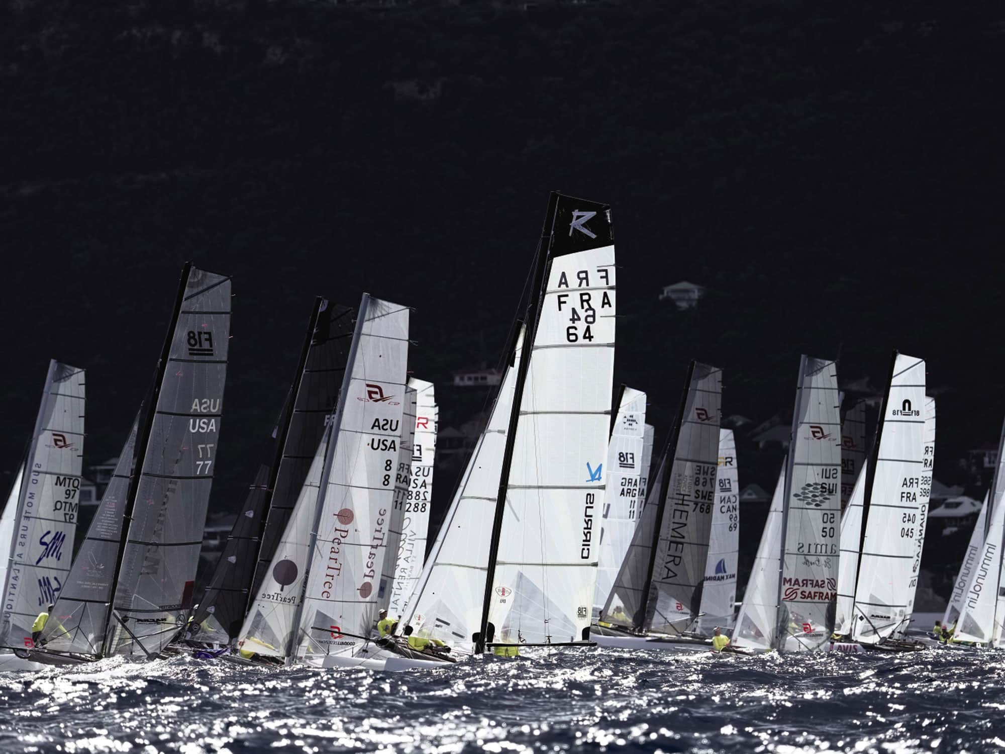 Racing Catamaran Sailboats