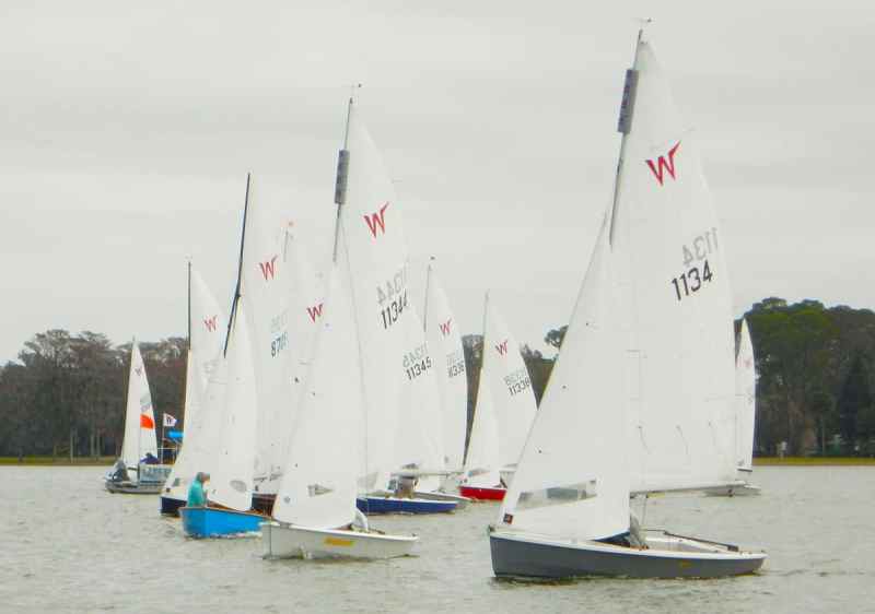 wayfarers Wayfarer dinghies racing in Lake Eustis, Florida