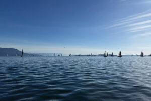 Round the County Race