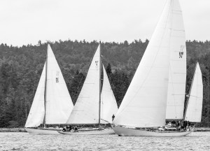 The start of Classic Group B at the Castine Classic Yacht Race, with Black Watch to leeward.